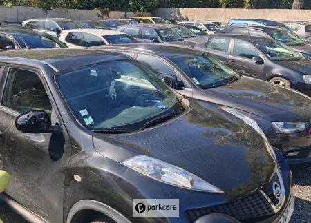 Royal Parking Valet foto 4